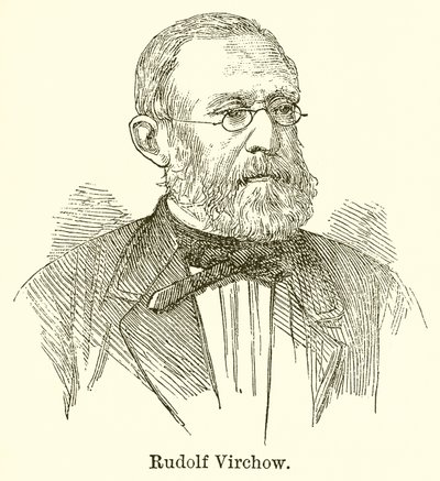 Rudolf Virchow tekijältä English School