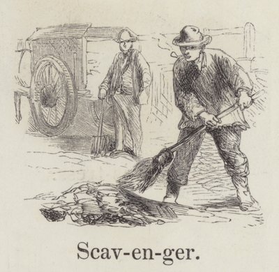 Scavenger (kaiverrus) tekijältä English School