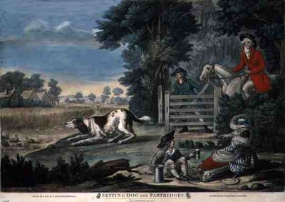 Setting Dog and Partridges, pub. kirjoittanut Carington Bowles (fl.1744-93) tekijältä English School