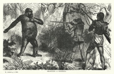 Gorillan ampuminen (kaiverrus) tekijältä English School