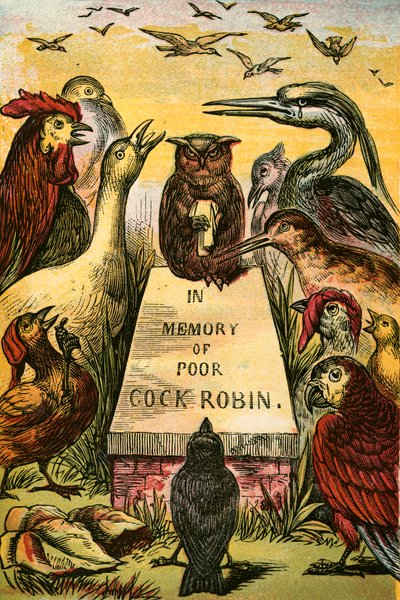 Huokaillen ja nyyhkyttäen Cock Robin-paran puolesta. tekijältä English School