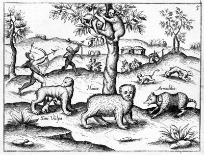 Simi Vulpa, Haute and Armadilio, kuvitus Sir Walter Raleighin teoksesta "The Discovery of Guayana", julkaistu n. 1599 tekijältä English School