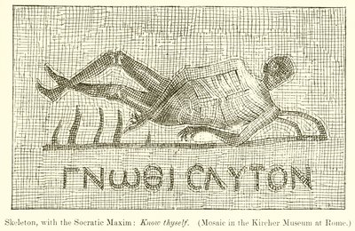 Luuranko Sokraattisen Maximin kanssa: Tunne itsesi. (Mosaiikki Kircher-museossa Roomassa) tekijältä English School