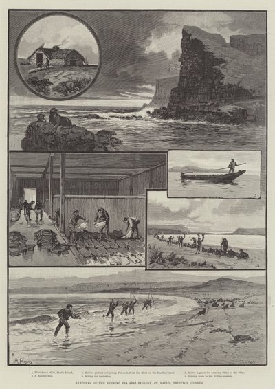 Luonnoksia Beringinmeren hylkeenkalastuslaitoksesta, St Paul