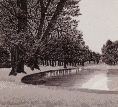 Sophia Gardens, Cardiff (litho) tekijältä English School