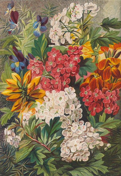 Kevätkukkia (värilitro) tekijältä English School