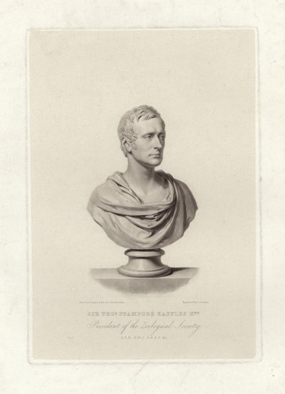 Stamford Raffles tekijältä English School