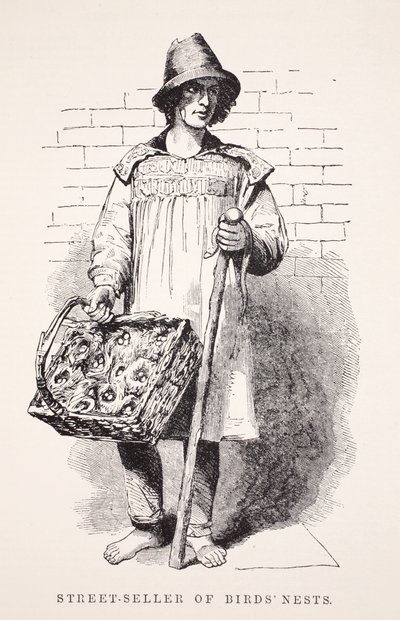 Lintujen pesien katumyyjä, kuvitus London Laborista ja London Poorista Henry Mayhew, pubi. 1862 tekijältä English School