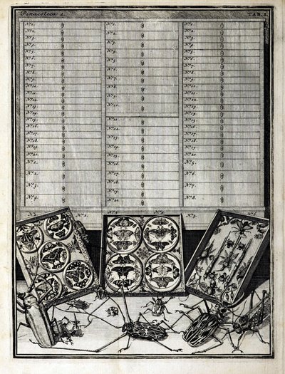 Taulukko 1 Levin Vincentin (1658-1727) julkaisusta Elenchus Tabularum 1719 tekijältä English School