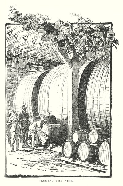 Weinverkostung von English School