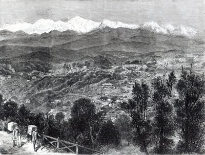 Teen viljely Britti-Intiassa - Näkymä Darjeelingiin etelästä, 1876 tekijältä English School