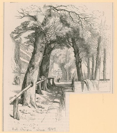 Taideliitto, Chelsea, kesäkuu 1847 tekijältä English School
