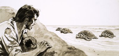 Castaways: Turtle Islandin terrori tekijältä English School
