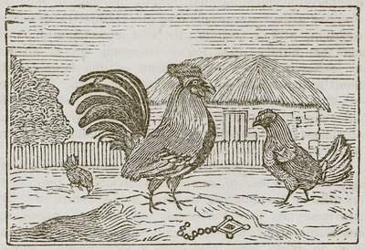 Kukko ja jalokivi (kaiverrus) tekijältä English School