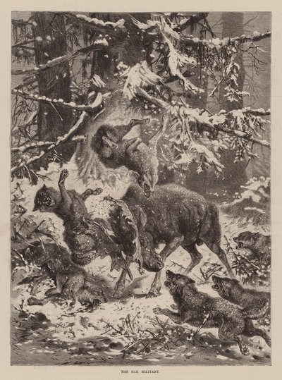The Elk Militant (kaiverrus) tekijältä English School