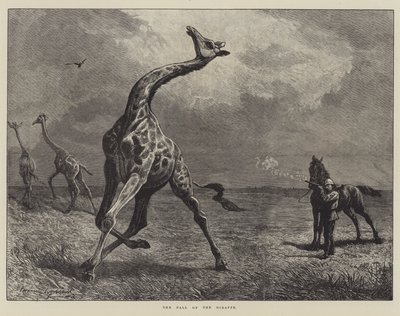 The Fall of the Giraffe (kaiverrus) tekijältä English School
