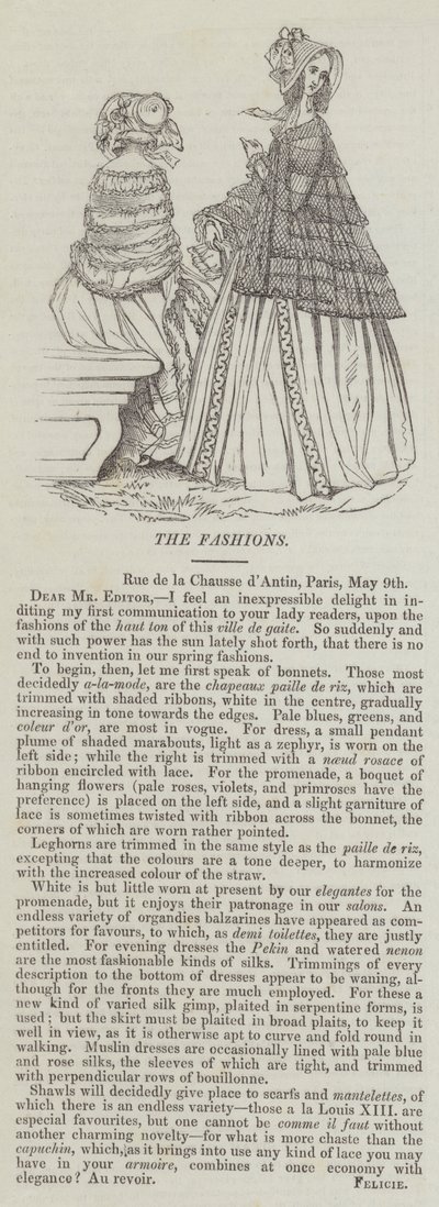 The Fashions (kaiverrus) tekijältä English School