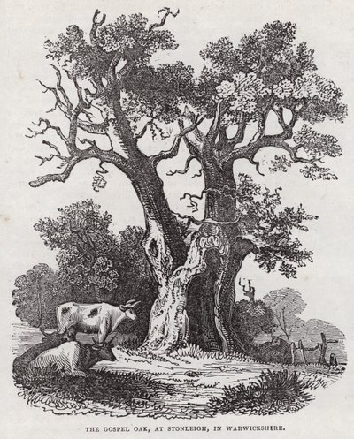 The Gospel Oak, Stonleigh, Warwickshire (kaiverrus) tekijältä English School