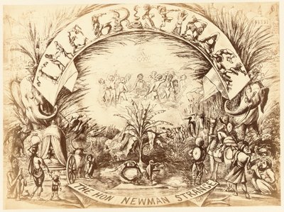 Griffinage, kunnia. Newman Strange, sivu Delhi Sketchbookista, 1850-54 tekijältä English School