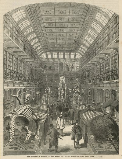 Hunterian Museum Royal College of Surgeonsissa tekijältä English School