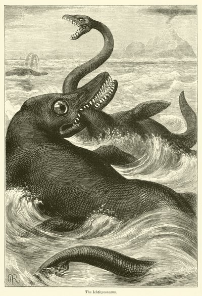 Ichthyosaurus (kaiverrus) tekijältä English School