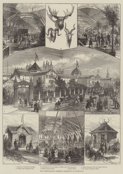 Kansainvälinen metsäalan näyttely Edinburghissa (kaiverrus) tekijältä English School