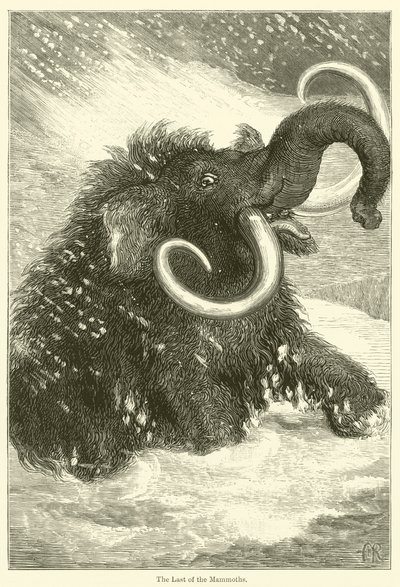 The Last of the Mammoths (kaiverrus) tekijältä English School