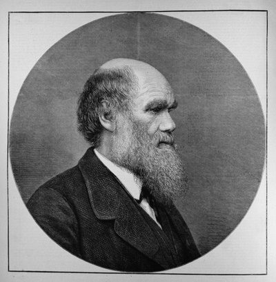 Edesmennyt herra C. R. Darwin, FRS, LLD, The Illustrated London News, 29. huhtikuuta 1882 tekijältä English School