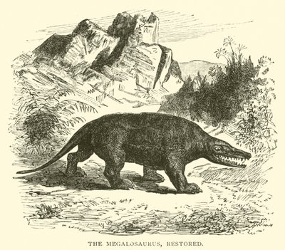 Megalosaurus, kunnostettu (kaiverrus) tekijältä English School