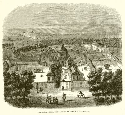 Menagerie, Versailles, viime vuosisadalla tekijältä English School