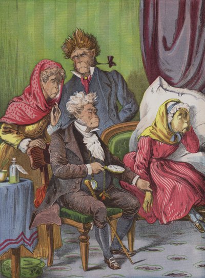 Lääkäri (chromolitho) tekijältä English School