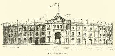 Härkätaisteluareena tekijältä English School