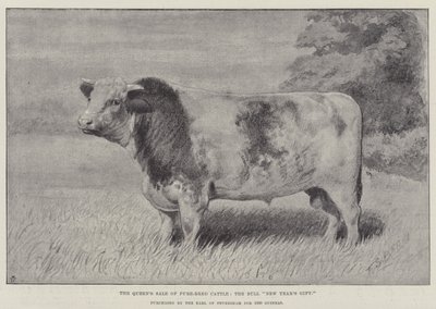 Earl of Fevershamin ostama puhdasrotuinen karja, härkä "uudenvuoden lahja", 1 000 Guineaa (litho) tekijältä English School