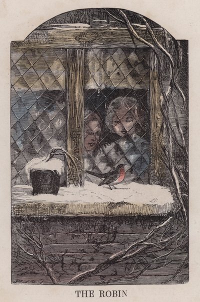 The Robin (värillinen kaiverrus) tekijältä English School