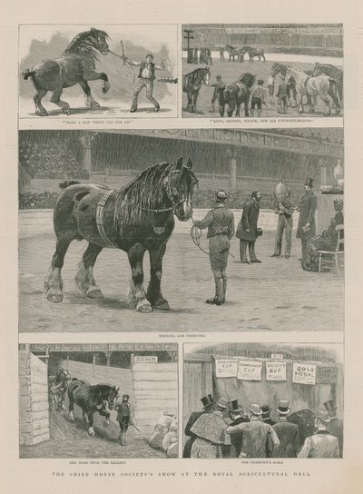 Shire Horse Society -esitys Royal Agricultural Hallissa tekijältä English School