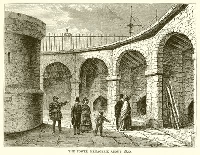 Tower Menagerie noin 1820 tekijältä English School