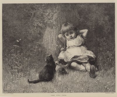 The Two Pets (kaiverrus) tekijältä English School
