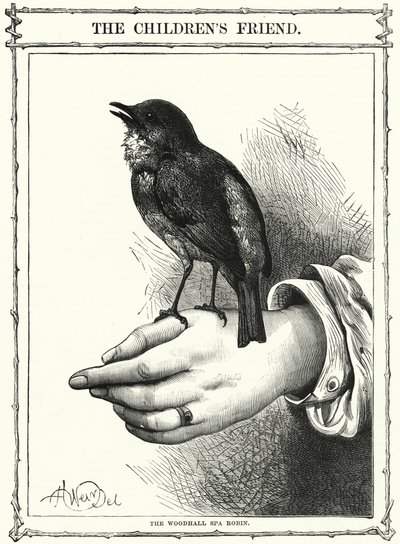 Woodhall Spa Robin (kaiverrus) tekijältä English School