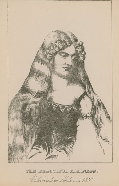Kaunis albiness, esillä Lontoossa vuonna 1810 tekijältä English School