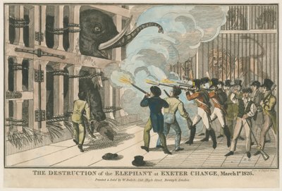 Elefantin tuhoaminen Exeter Changessa, 1. maaliskuuta 1826 tekijältä English School
