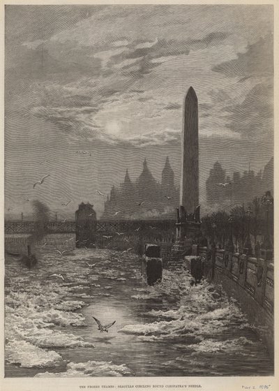 Jäätynyt Thames - lokit kiertävät Kleopatras-neulan ympärillä tekijältä English School