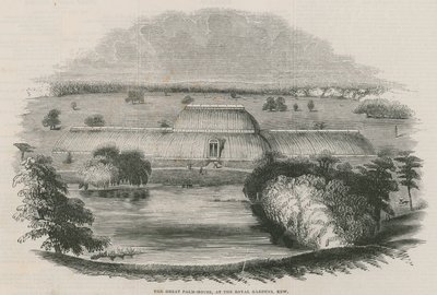 Suuri palmutalo Royal Gardensissa, Kew, Lontoo tekijältä English School
