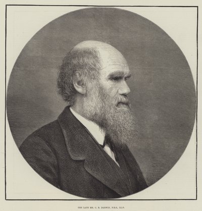 Edesmennyt C. R. Darwin, FRS, LLD. tekijältä English School