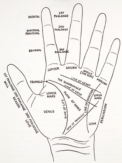Käden kiinnitysaras tekijältä English School
