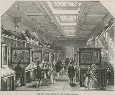 British Museumin uusi korallihuone tekijältä English School