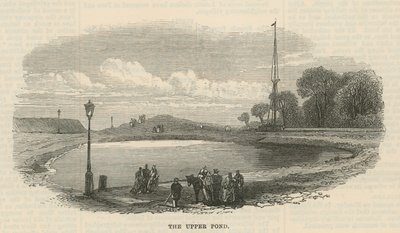Ylempi lampi, Hampstead Heath tekijältä English School