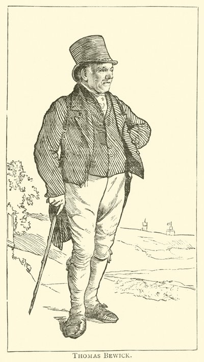Thomas Bewick (kaiverrus) tekijältä English School