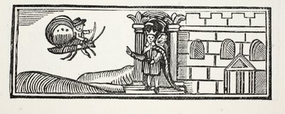 Tom piiloutui ja yritti paeta perhosen selässä, kuvitus John Ashtonin pubista Chap-books of the Eightenth Century. 1882 tekijältä English School