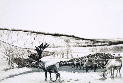Tunnistamaton porolauma tekijältä English School
