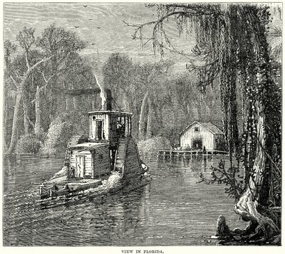 Näkymä Floridassa (kaiverrus) tekijältä English School